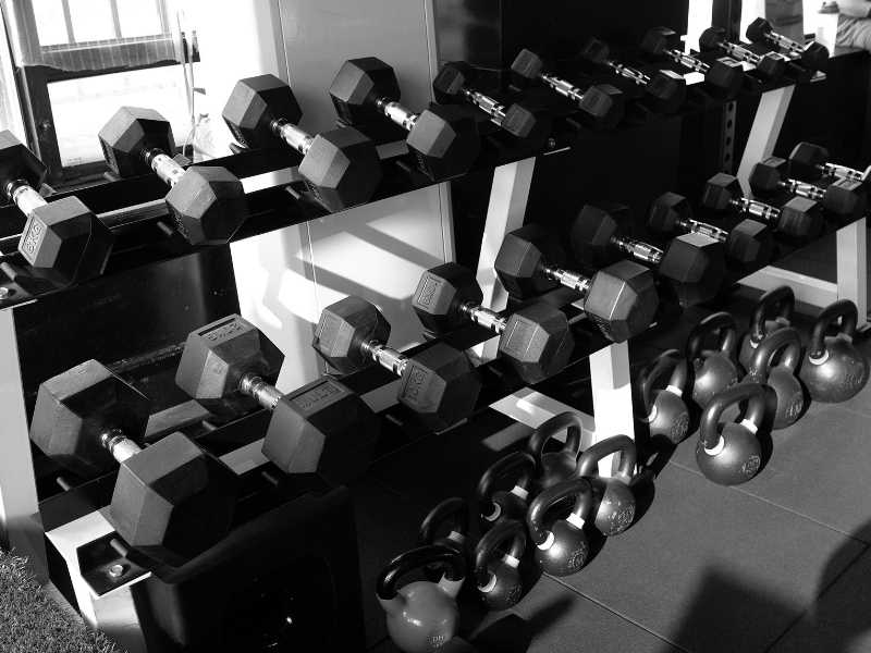 gym equipment price